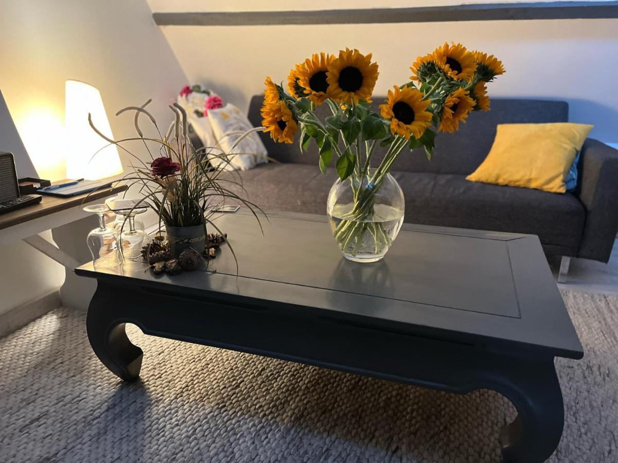 Maison 4 Personnes Tout Confort Alentours Boulogne Sur Mer Samer Luaran gambar